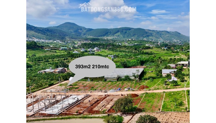 Cần Bán Đất 393m², 210m² Đất Ở, 2 Mặt Tiền, Thế Đất Vuông Vức